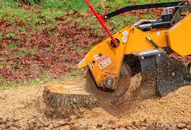 Best Seasonal Cleanup (Spring/Fall)  in Westmorland, CA